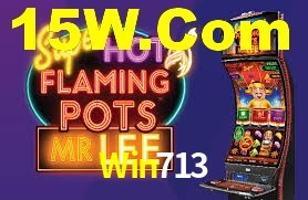 Win713